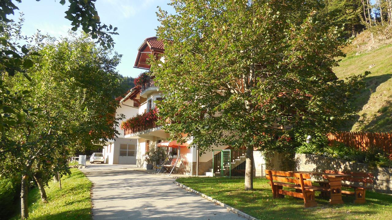 Apartments Savinja Luče المظهر الخارجي الصورة